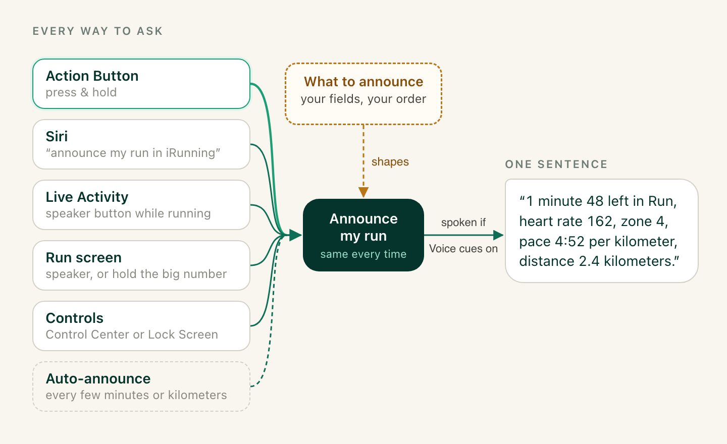 Diagram: the Action Button, Siri, the Live Activity, the run screen, Controls and auto-announce all trigger the same Announce my run update, shaped by your What to announce settings and spoken when voice cues are on