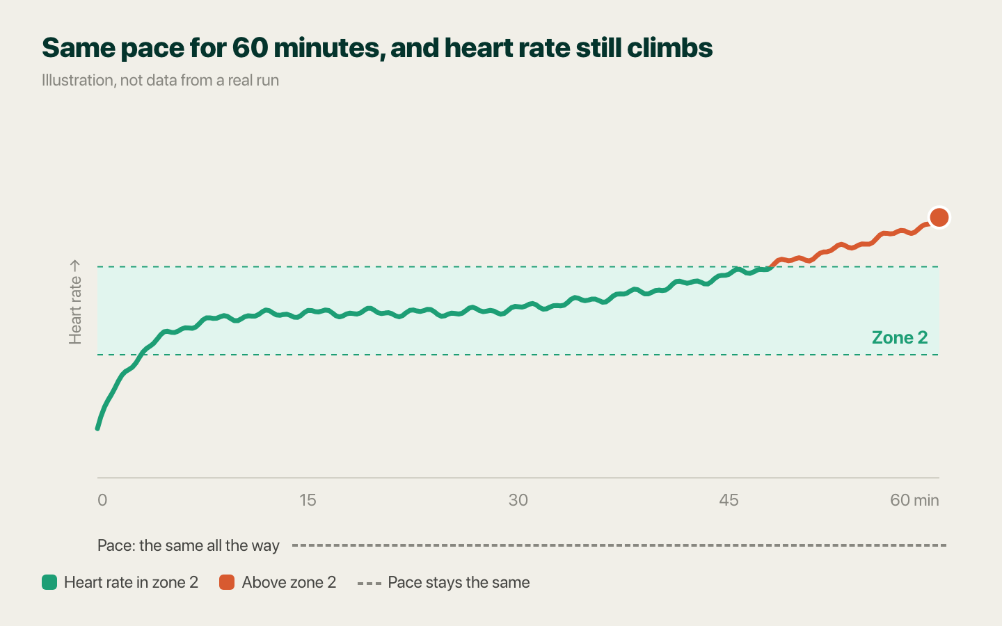 Illustration: over a 60-minute run at the same pace, the heart-rate line starts inside the zone 2 band and slowly rises above it in the second half